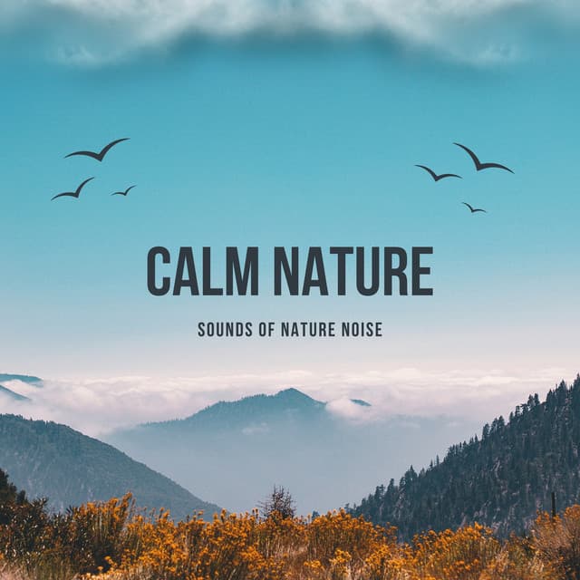 Calm Nature - Sounds of Nature Noise