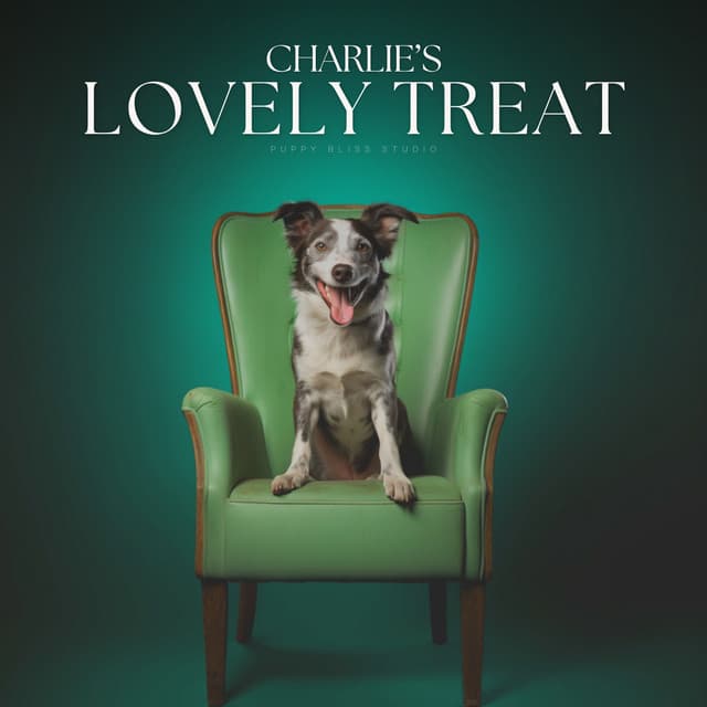 Charlie's Lovely Treat - Relaxing Music for Dogs