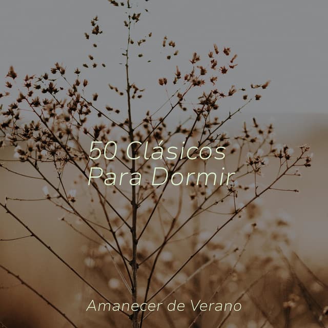 50 Clásicos Para Dormir - Meditation Relaxation Club