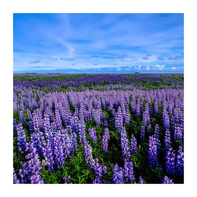 You and Me in a Perfect Balance - Just Breathe Meditation