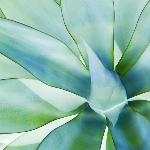 Music for Summertime Springs - Chill Out - Happy Instrumental Music