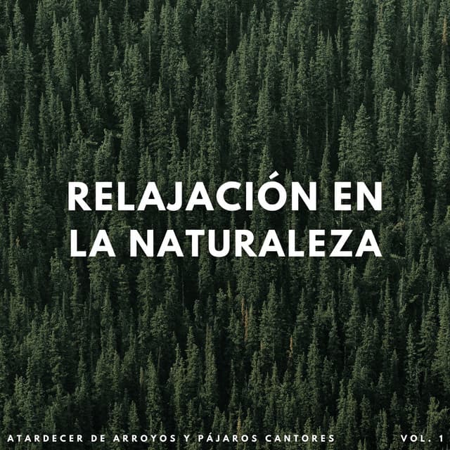 Relajación En La Naturaleza: Atardecer De Arroyos Y Pájaros Cantores Vol. 1 - Arroyos y niebla