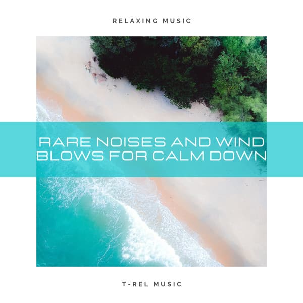 Rare Noises and Wind Blows For Calm Down - Calm Water Sounds