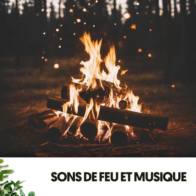 Sons de Feu et Musique: Flammes de Paix - Cat Music Therapy