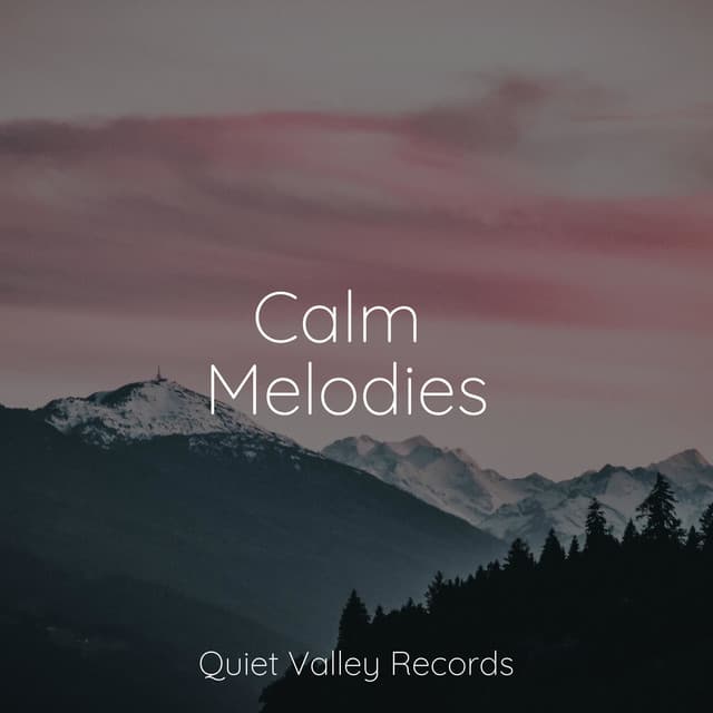 Calm Melodies - Heavy Rain Sounds