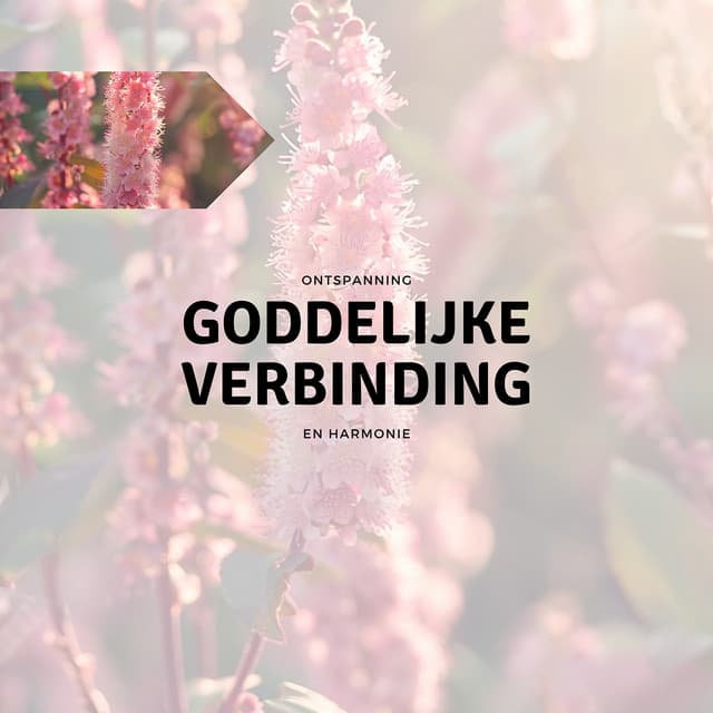 Goddelijke Verbinding - Ontspanning en Harmonie