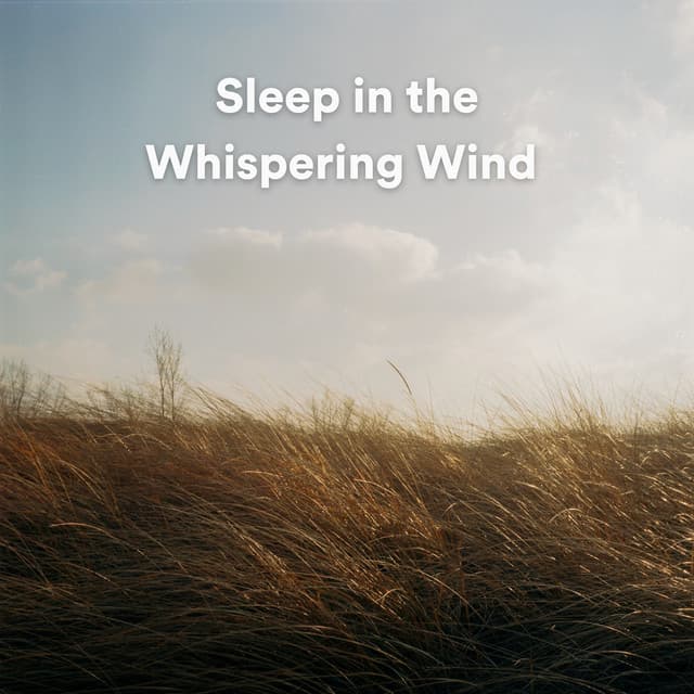 Sleep in the Whispering Wind - Anxiety Relief