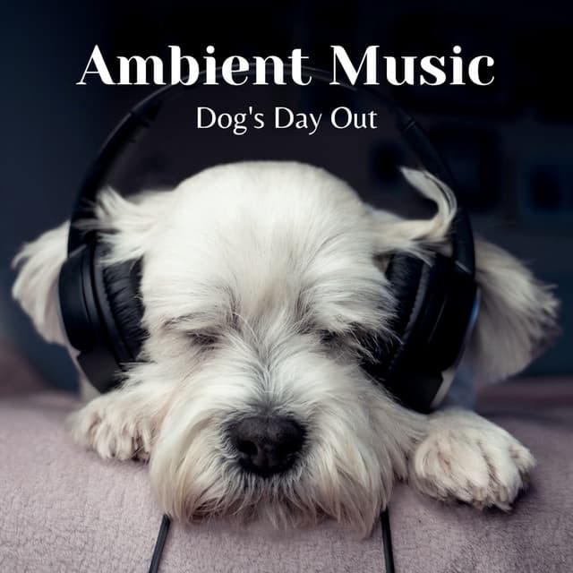 Ambient Music: Dog's Day Out - Relaxing Spaces