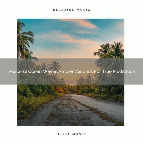 Peaceful Ocean Waves Ambient Sounds For True Meditation - Instant Relax