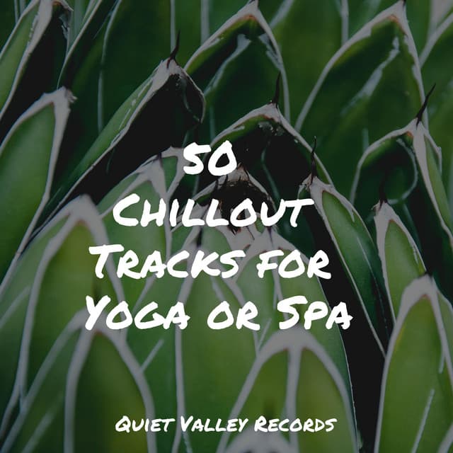 50 Chillout Tracks for Yoga or Spa - The Rainforest Collective