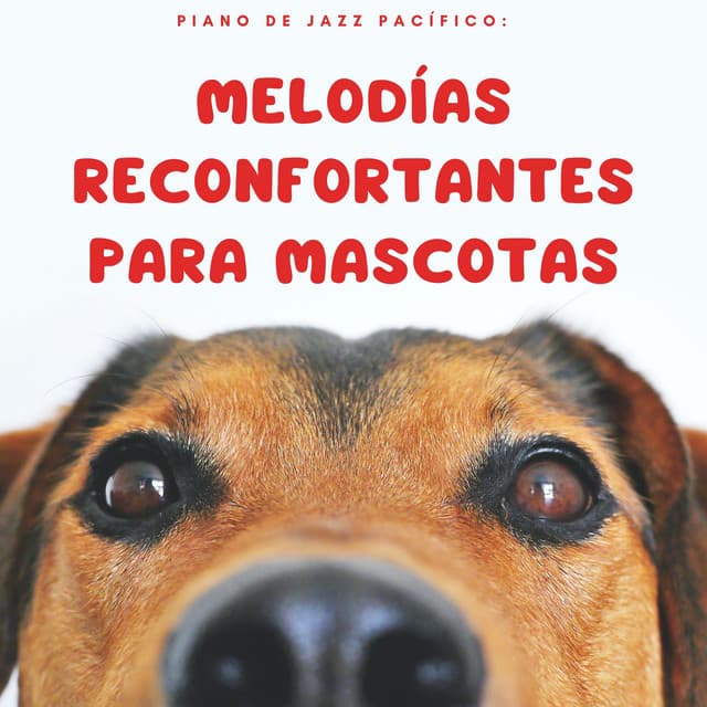 Piano De Jazz Pacífico: Melodías Reconfortantes Para Mascotas - Musicoterapia para el cuidado de mascotas