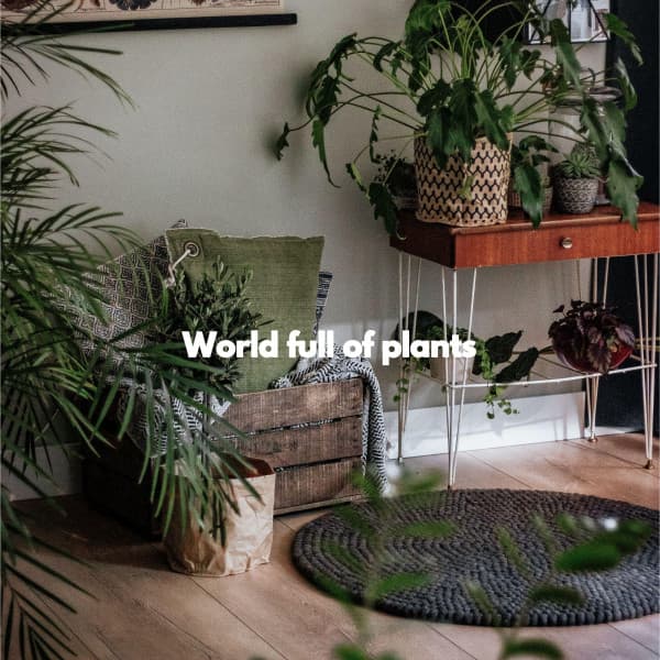 World full of plants - Elevator Music