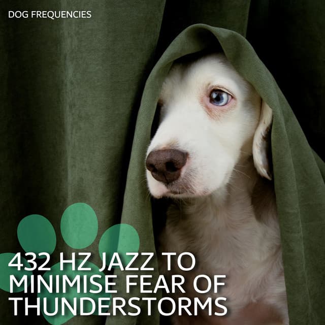 432 Hz Jazz to Minimise Fear of Thunderstorms - Dog Frequencies