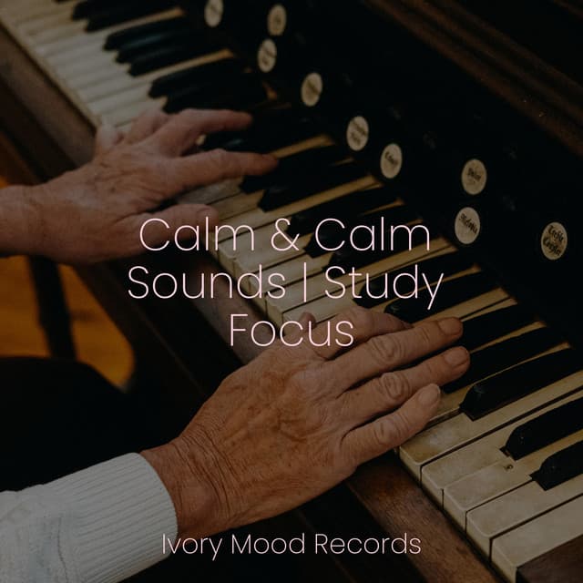 Calm & Calm Sounds | Study Focus - Ivory Mood