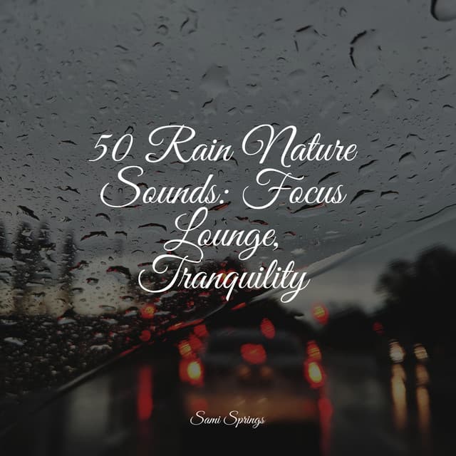 50 Rain Nature Sounds: Focus Lounge, Tranquility - Restless Baby Music