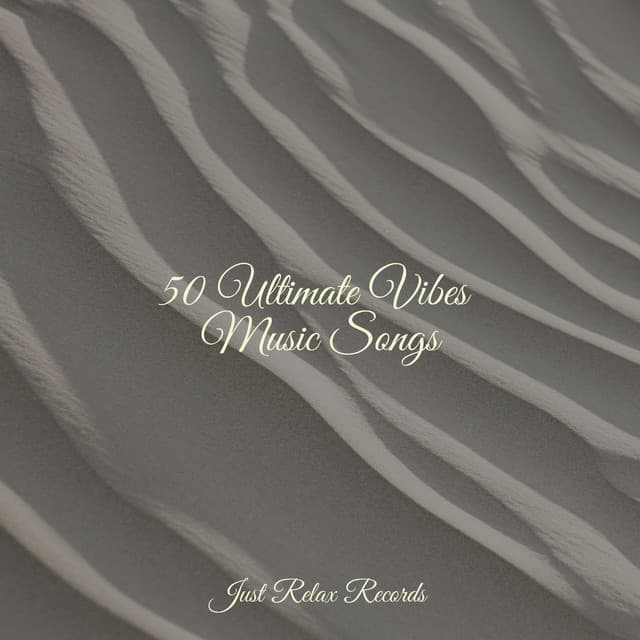 50 Ultimate Vibes Music Songs - Shakuhachi Sakano