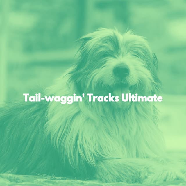 Tail-waggin' Tracks Ultimate - Jazz Vibe Chill Out