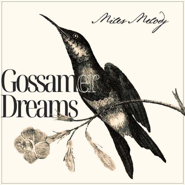 Gossamer Dreams: Whispered Jazz Tales, Piano - Miles Melody