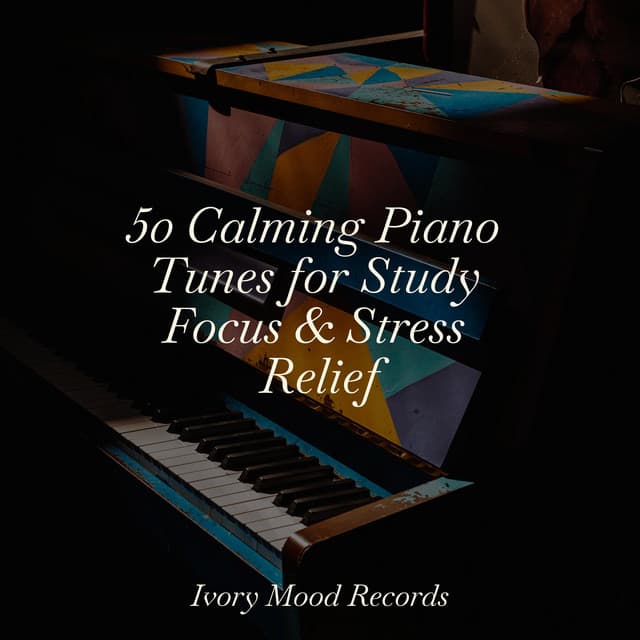 50 Calming Piano Tunes for Study Focus & Stress Relief - Ivory Mood