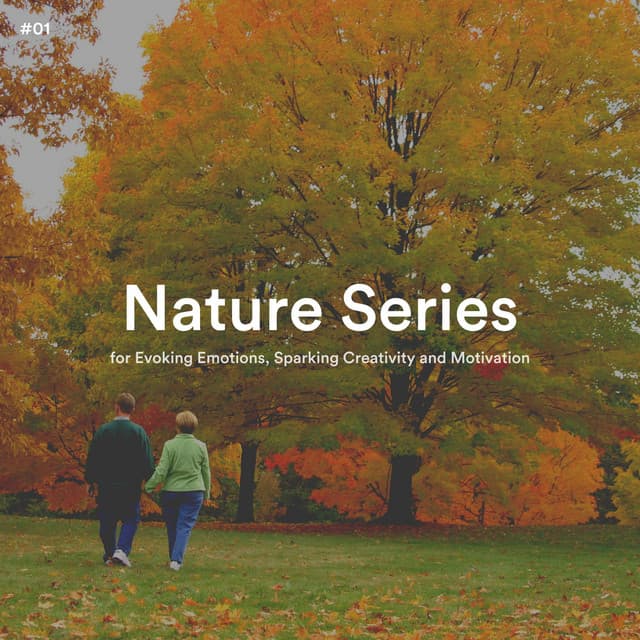#01 Nature Series for Evoking Emotions, Sparking Creativity and Motivation - Transcendental Meditation