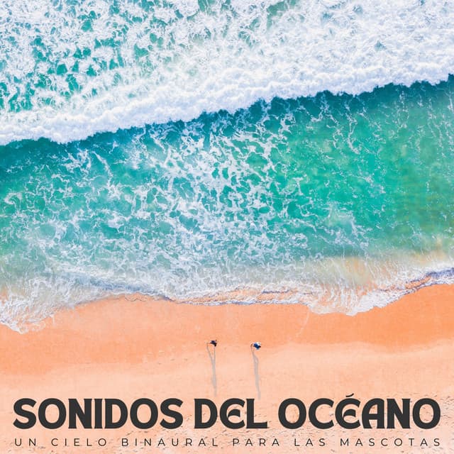 Sonidos Del Océano: Un Cielo Binaural Para Las Mascotas - Universo De Latidos Binaurales