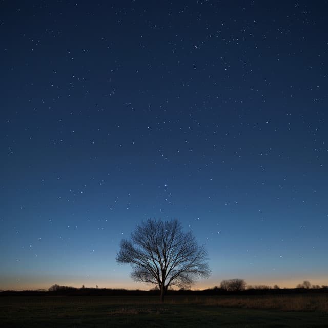 Música Para Relajación: Ecos Armónicos Suaves - Musica Relajante Música De Fondo