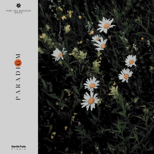 Paradigm - Pure Spa Massage Music