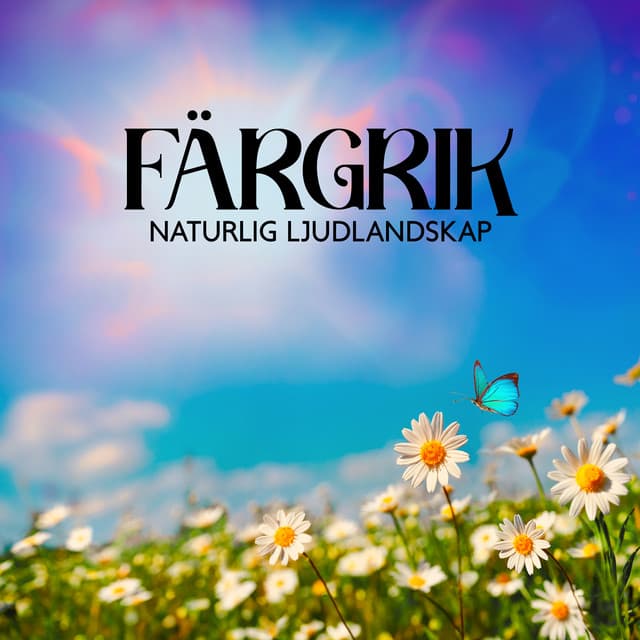 Färgrik Naturlig Ljudlandskap - Klubb med Hälsosam Avkoppling