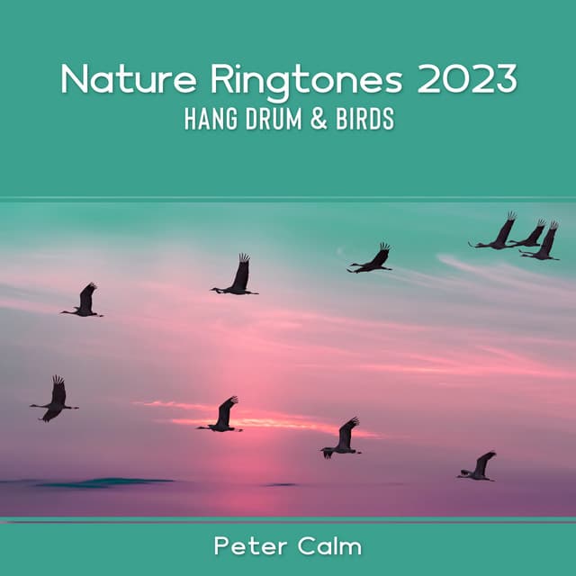 Nature Ringtones 2023: Hang Drum & Birds – Morning in the Garden - Peter Calm