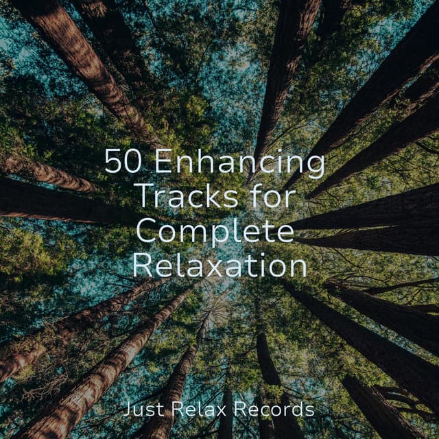 50 Enhancing Tracks for Complete Relaxation - Pro Sound Effects Library