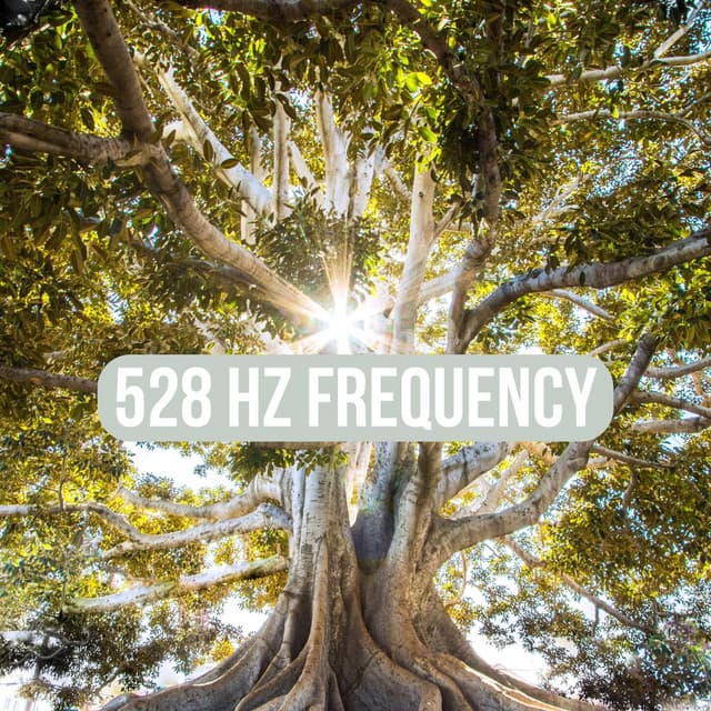 528 Hz Frequency - Solfeggio Frequency Meditation
