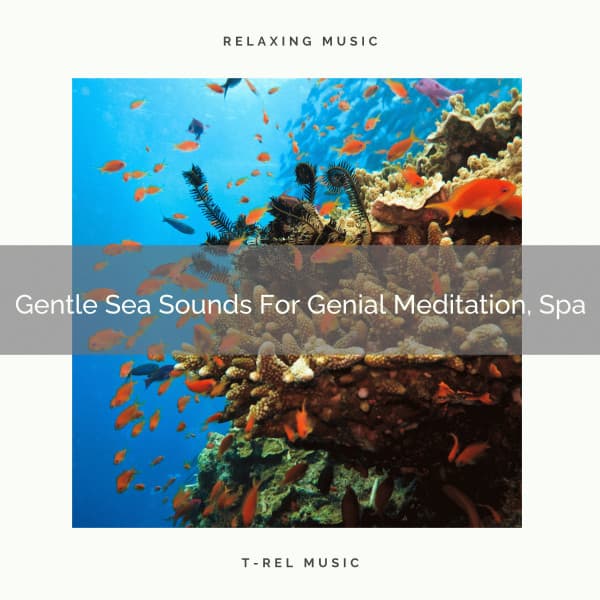 Gentle Sea Sounds For Genial Meditation, Spa - Perfect Meditation