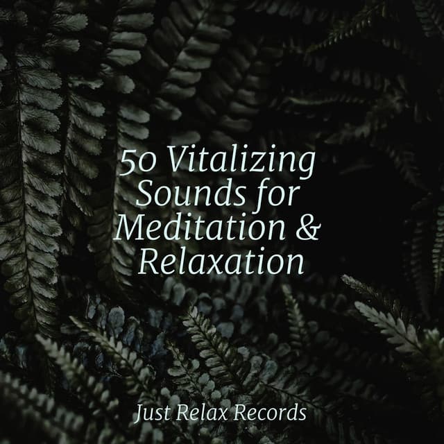 50 Vitalizing Sounds for Meditation & Relaxation - Thunderstorm Sound Bank