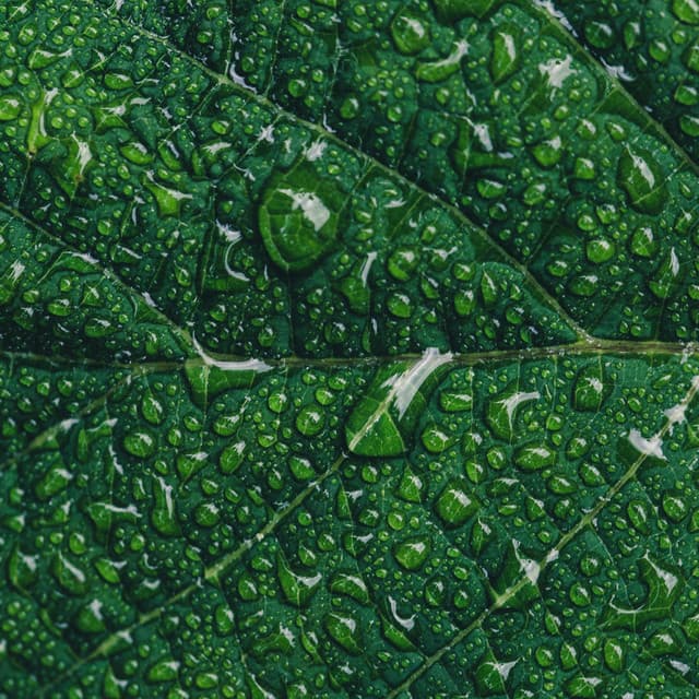 Loopable Rain Sounds