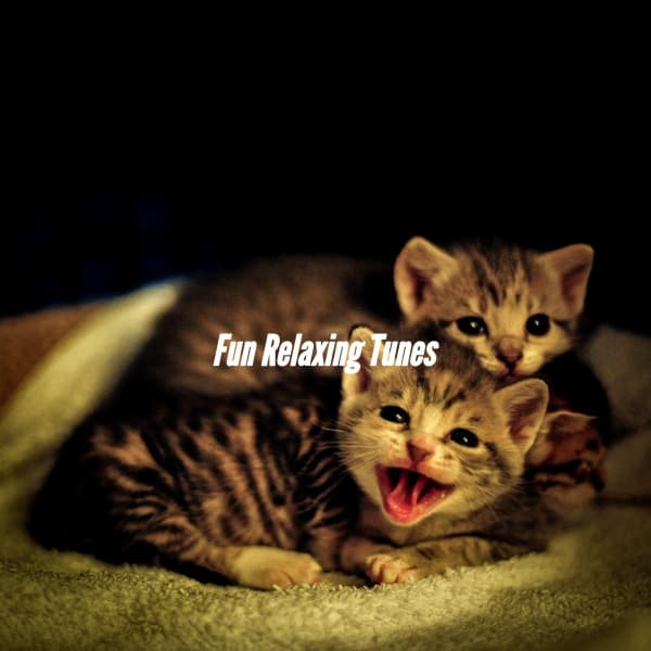 Fun Relaxing Tunes - Musica Rilassante & Benessere
