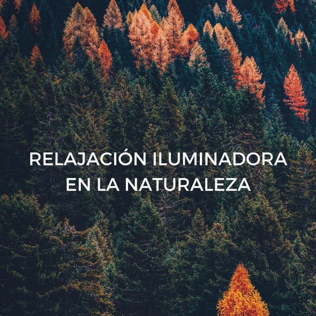 Relajación Iluminadora En La Naturaleza - Naturaleza 101