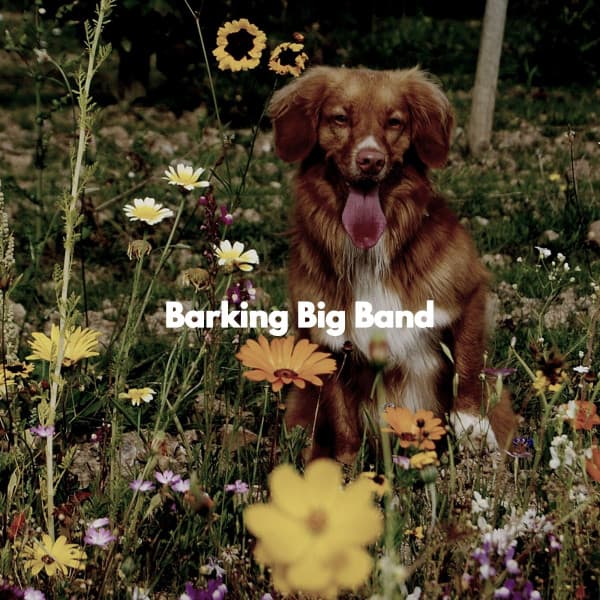 Barking Big Band - Instrumental Study Music