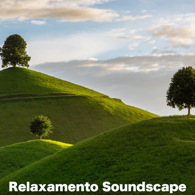 Relaxamento Soundscape - Relaxamento