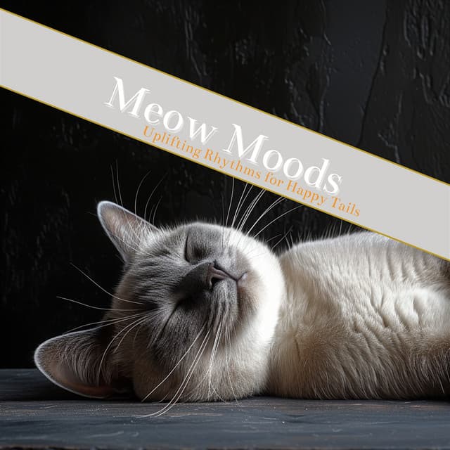 Meow Moods: Curating Calm Environments Through Soothing Tunes - Cat & Calm