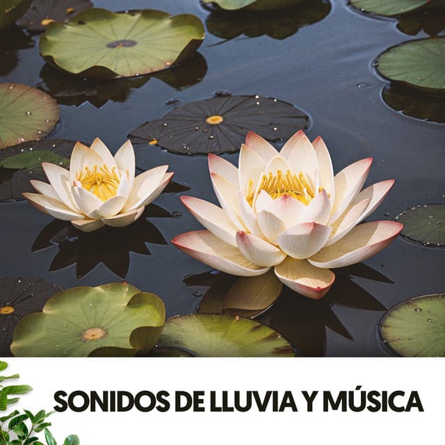 Sonidos de Lluvia y música: Un baile acuático de notas - ASMR Rain Sounds