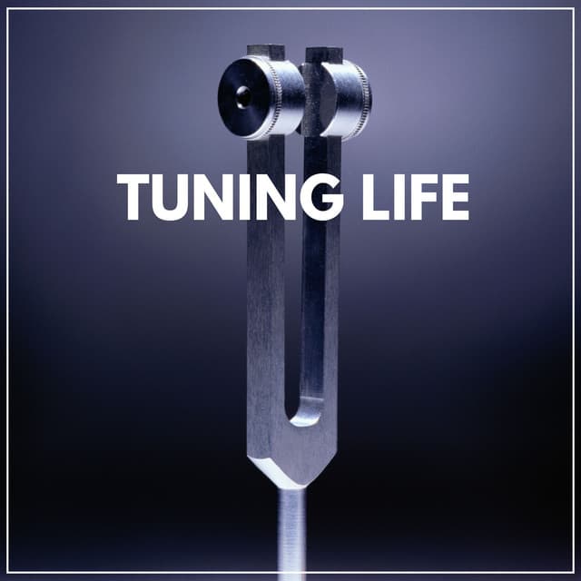 Tuning Life - Binaural Landscapes