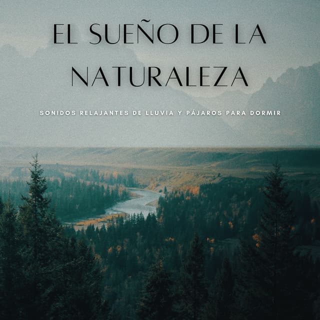 El Sueño De La Naturaleza: Sonidos Relajantes De Lluvia Y Pájaros Para Dormir - Sonidos de lluvia para dormir profundo