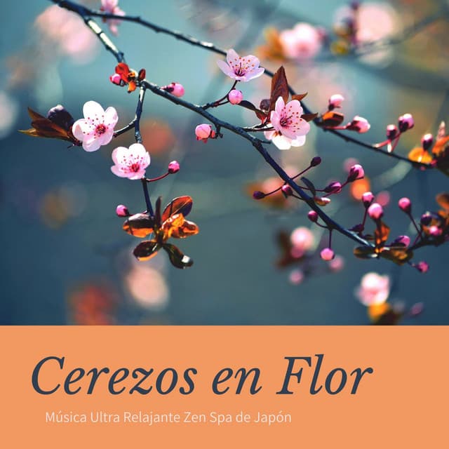 Cerezos en Flor: Música Ultra Relajante Zen Spa de Japón - Masaje Velia