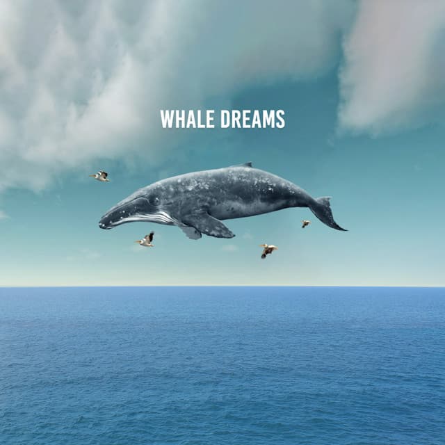 Whale Dreams - Soothing Sounds