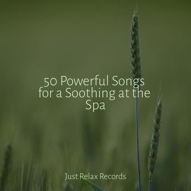50 Powerful Songs for a Soothing at the Spa - Sonido Del Bosque y Naturaleza