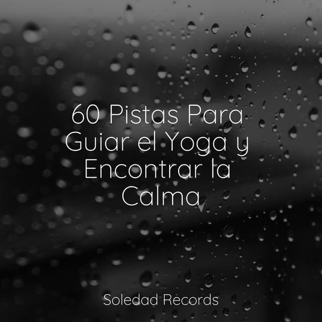 60 Pistas Para Guiar el Yoga y Encontrar la Calma - Masaje Tantrico Musica Colección