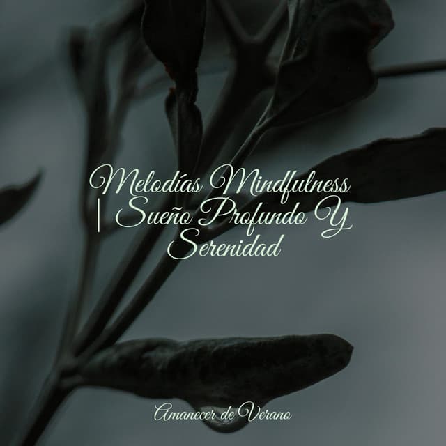 Melodías Mindfulness | Sueño Profundo Y Serenidad - Dormir