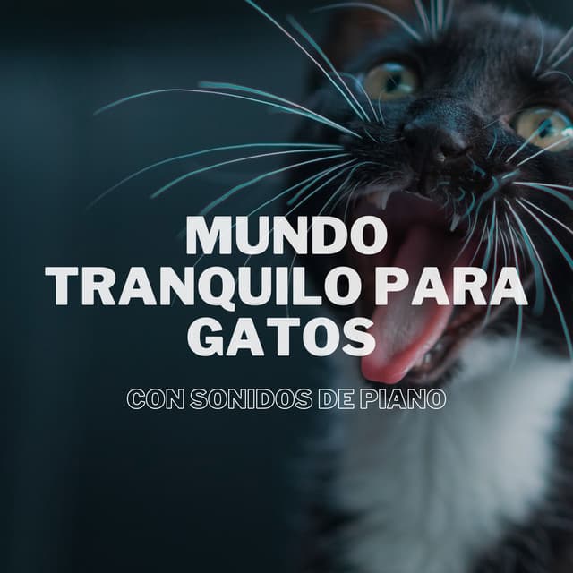 Mundo Tranquilo Para Gatos Con Sonidos De Piano - Oración para piano