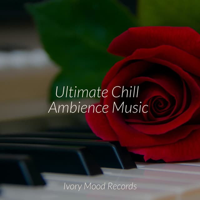 Ultimate Chill Ambience Music - Ivory Mood