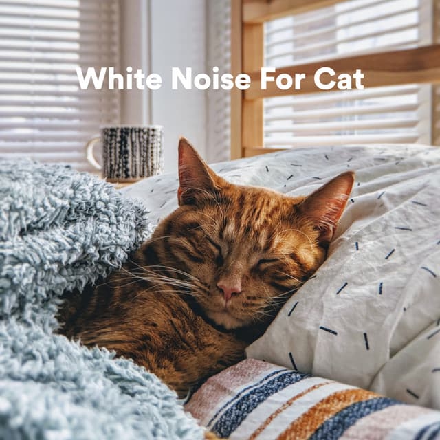 White Noise for Cat - Relaxmycat
